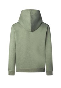 Sudadera con capucha de color verde claro, vista desde la parte de atrás, con mangas largas y puños y dobladillo acanalados.