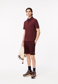 Bordeaux polo shirt en shorts, van een katoenmengsel. Sneakers met een gestructureerde afwerking, en een crèmekleurige gebreide trui met meerkleurige strepen.
