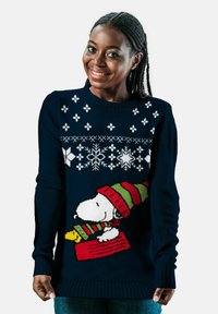 Maglione lavorato a maglia blu navy con una grande illustrazione colorata di un cane che indossa un cappello a righe, con fiocchi di neve e motivi sopra.