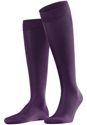 FALKE Tiago - Calcetines hasta la rodilla - wine berry