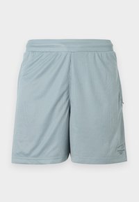 Heledad sinine sportlikud lühikesed püksid, mis on valmistatud võrkmaterjalist, elastse vöökoha ja väikese logo detailiga alumisel pool.