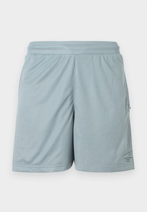 UNISEX - Šortky - ice grey