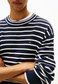 Maglione a righe blu navy e bianco con colletto rotondo e polsini a coste. Presenta un piccolo logo del marchio sul petto. Materiale in maglia morbido.