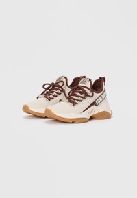 Steve Madden Baskets basses - ivy sepia