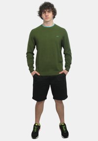 Maglione verde con collo rotondo e bordo blu, abbinato a pantaloni corti neri e scarpe nere con dettagli verdi. Vestibilità casual, senza fantasie.