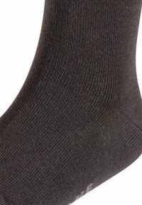 FALKE HAPPY 2-PACK - Calcetines - sortiment