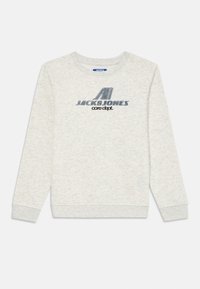 Felpa grigia chiaro con maniche lunghe, collo a giro e tessuto testurizzato. Presenta un logo grafico blu scuro sul davanti.