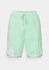 MLB LOS ANGELES DODGERS INFILL SHORT - Roupa de discoteca - mint