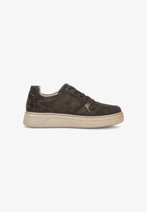 Gabor, GABOR SNEAKER LOW - Sneakers laag - mocca