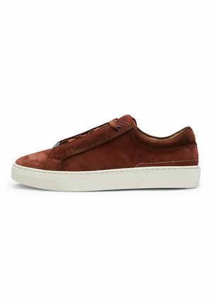 GARY - Trainers - brown fourteen