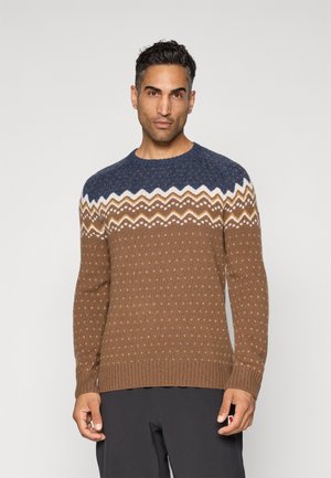Man met een bruin gebreid trui met blauw-witte zigzagpatronen op de borst en schouders, staand tegen een effen achtergrond.