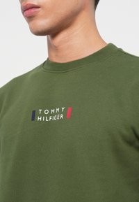 Muž v zelenom crewneck svetri s malým, stredovo umiestneným bielym logom "Tommy Hilfiger", po stranách obklopeným námorníckymi a červenými obdĺžnikovými pruhmi.