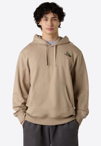 The North Face U FLOWER DOME RELAXED HD SWEATSHIRT-GPH - Felpa con cappuccio - mushroom grey
