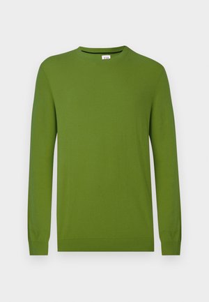 Roheline kašmiirsviiter, mis on valmistatud pehmest materjalist, ümmarguse kaeluse, pikkade varrukate ning soonikkoes mansettide ja alläärega. Lihtne, ühtlane värv ilma mustriteta.