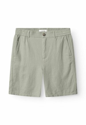 Lysegrønne, afslappede shorts med elastisk linning, forreste knap, lynlåsgylp og sidelommer, lagt fladt på hvid baggrund.