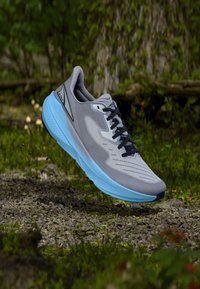 Non sélectionné, gray/blue