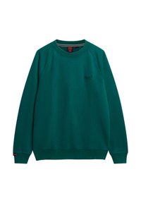 Groene katoenen sweatshirt met een ribbelneklijn en raglanmouwen, met een klein logo op de borst en manchetten. Smooth textuur.