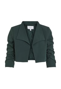 VIHER CROPPED - Blazer - pine grove