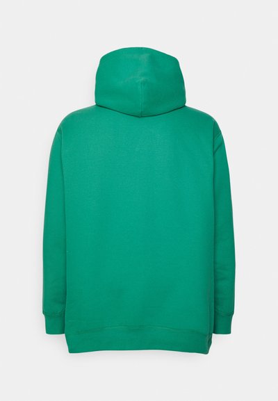 Polo Ralph Lauren Big & Tall THE RL FLEECE HOODIE - Sweatshirt com capuz - raft green