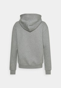 Jordan HOODIE - Sweatshirt com capuz - carbon heather