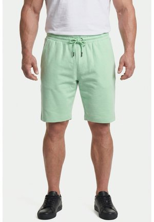 Uomo che indossa pantaloncini verde chiaro con coulisse, t-shirt bianca e sneakers nere in piedi davanti a sfondo bianco.