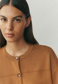 Pulover maro tricotat cu un decolteu rotund, prevăzut cu o închidere cu două nasturi în față și detalii subtile de cusături orizontale.