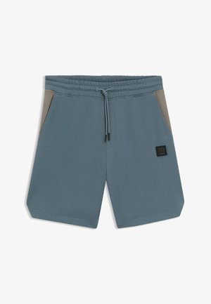 Blaugraue Shorts mit elastischem Bund, verstellbarem Kordelzug, braunen Seitentaschen und kleinem schwarzem Logo-Patch am rechten Bein.