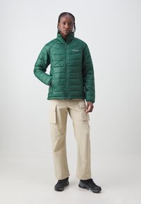 Columbia POWDER LITE™ FULL ZIP JACKET - Žieminė striukė - rain forest