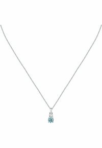 FAVS Collana - zilveren kleur