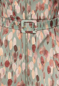 Robe à motif floral en vert doux, avec une fermeture éclair à l'avant, une ceinture à la taille avec une boucle carrée, et des pois multicolores en rose et marron.