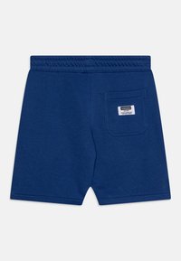 Vingino BASIC - Teplákové kalhoty - web blue