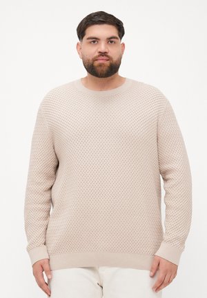 JPRBLUBARKLEY - Sweter