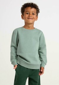 Green sweatshirt made of soft fabric, featuring a round neckline and ribbed cuffs, paired with green pants. Simple, classic design.