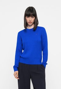 Pull en tricot bleu avec un motif texturé, col rond et poignets et ourlet côtelés. Présente un petit logo sur la poitrine.