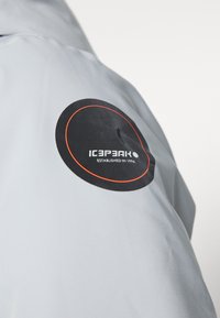 Icepeak Wintermantel - grey