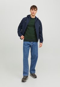 Jack & Jones JJEATLAS CREW NECK - Neule - mountain view