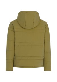 Olijfgroene gewatteerde jas met een capuchon, lange mouwen, horizontale stiksels en een rechte zoom, weergegeven vanaf de achterkant.