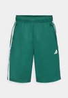 Korte broeken - collegiate green/white