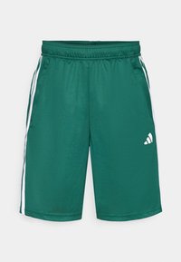 Sportske kratke hlače - collegiate green/white