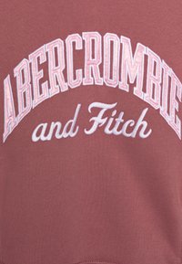 Abercrombie & Fitch FLORAL LOGO POPOVER HOODIE - Jersey con capucha - MESSA ROSE