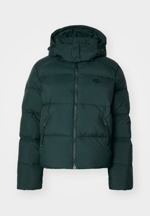 Chaqueta acolchada verde con un collar alto, cierre delantero y bolsillos laterales. Presenta un sutil logo de la marca en el pecho y una capucha.