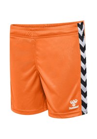 Orange idrottsshorts gjorda av slät tyg, med svarta och vita chevronränder på sidorna och en logotyp i det nedre hörnet.