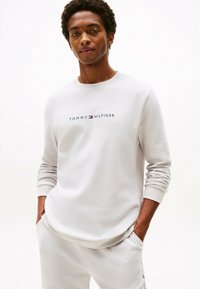Felpa grigia chiara con maniche lunghe e scollatura tonda, con il logo "TOMMY HILFIGER" in blu navy sul petto. Tessuto di superficie liscia.