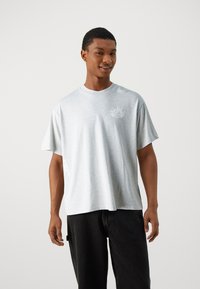 Replay M9Z1 T-SHIRT - Triko s potiskem - ash grey