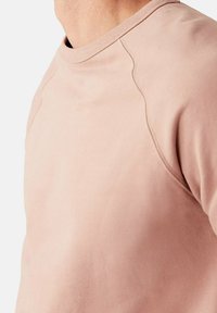 Světle růžová mikina s kulatým výstřihem, žebrovaným límcem a raglánovými rukávy. Vyrobena z hladké látky s jemnou strukturou.