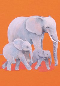 Gray elephants in various sizes walking against an orange background. They feature detailed textures and prominent tusks.