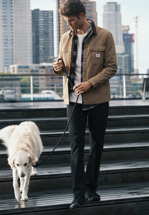 Jeune homme en veste marron promenant un grand chien blanc en laisse dans des escaliers extérieurs dans un cadre urbain avec de hauts immeubles en arrière-plan.