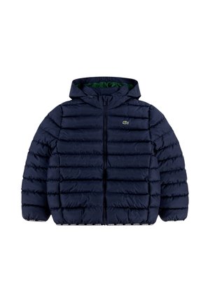 Marineblaue wattierte Kapuzenjacke mit Frontreißverschluss, elastischen Bündchen, grünem Innenfutter und kleinem Lacoste-Logo auf der Brust.