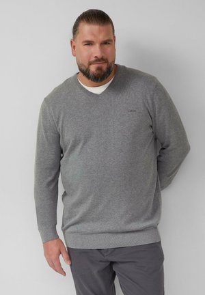 MIT LOGO-STICKEREI - Strickpullover - grau