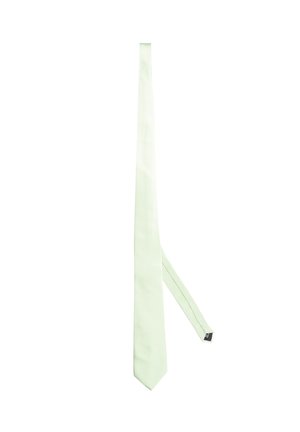 Cravatta in seta verde chiaro con una superficie liscia, forma stretta e punta appuntita. Nessun motivo o accento visibile, che mette in evidenza un design minimalista.